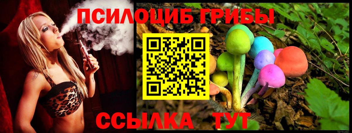 Псилоцибиновые грибы Psilocybe Качканар