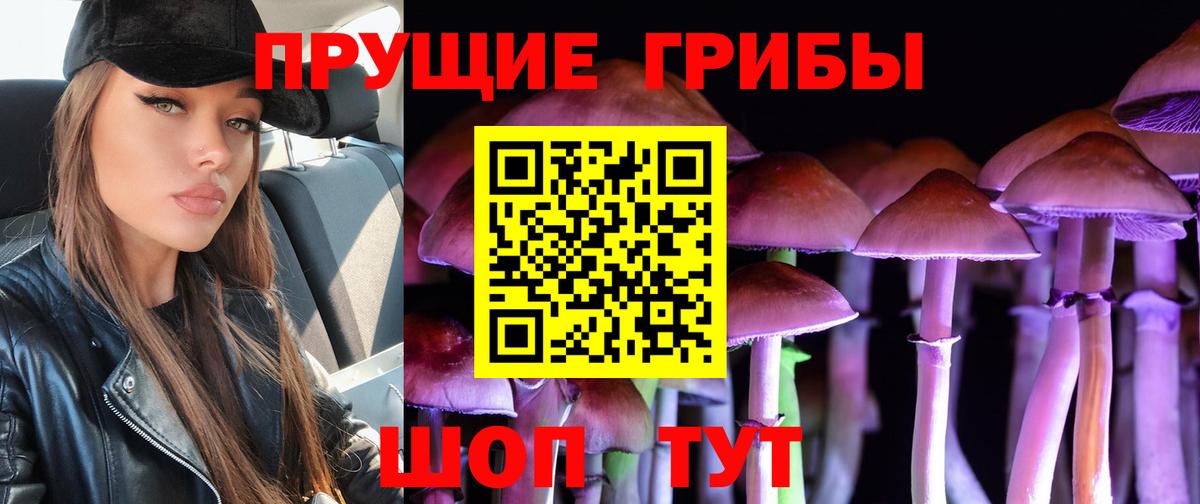 Галлюциногенные грибы GOLDEN TEACHER  Вход с VPN  Качканар 